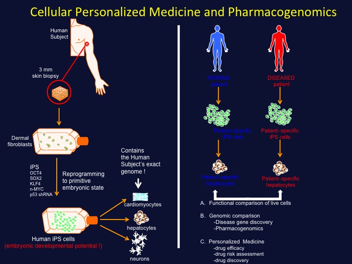 personalized medicine approaches